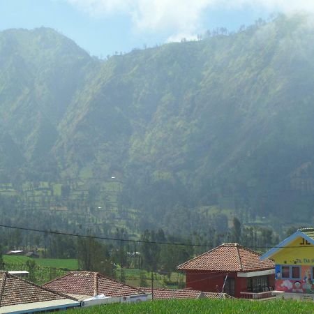 Tengger Indah Homestay Bromo Esterno foto