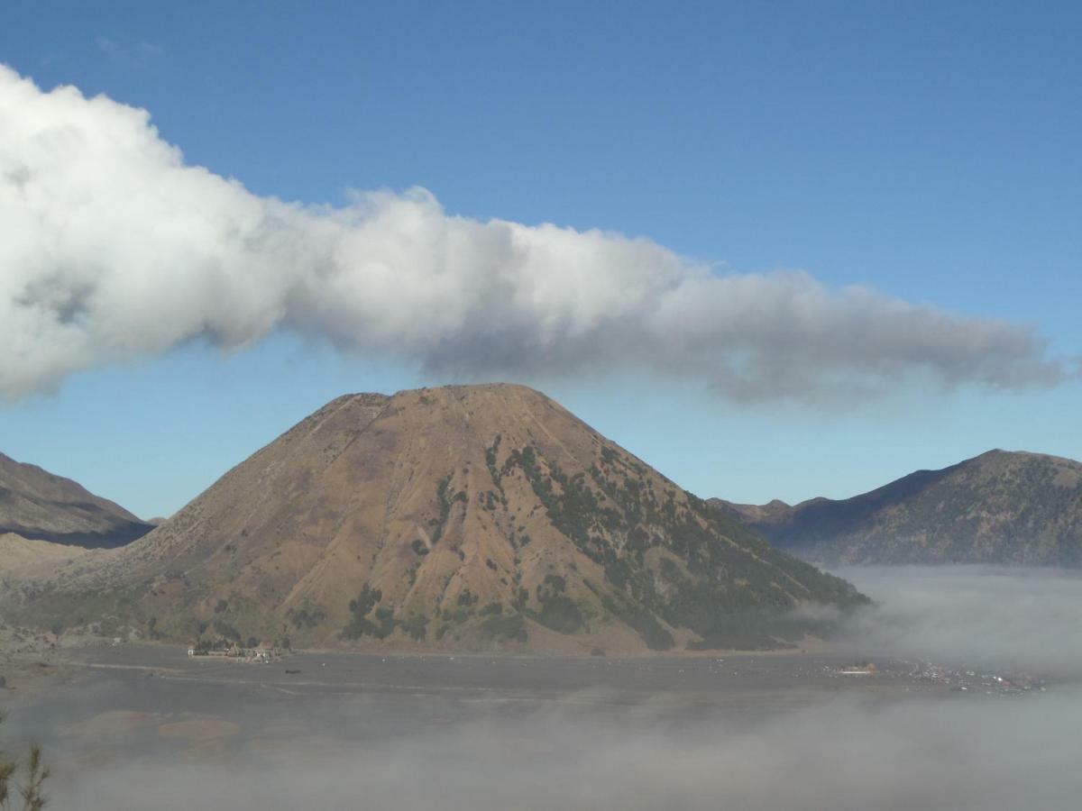 Tengger Indah Homestay Bromo Esterno foto